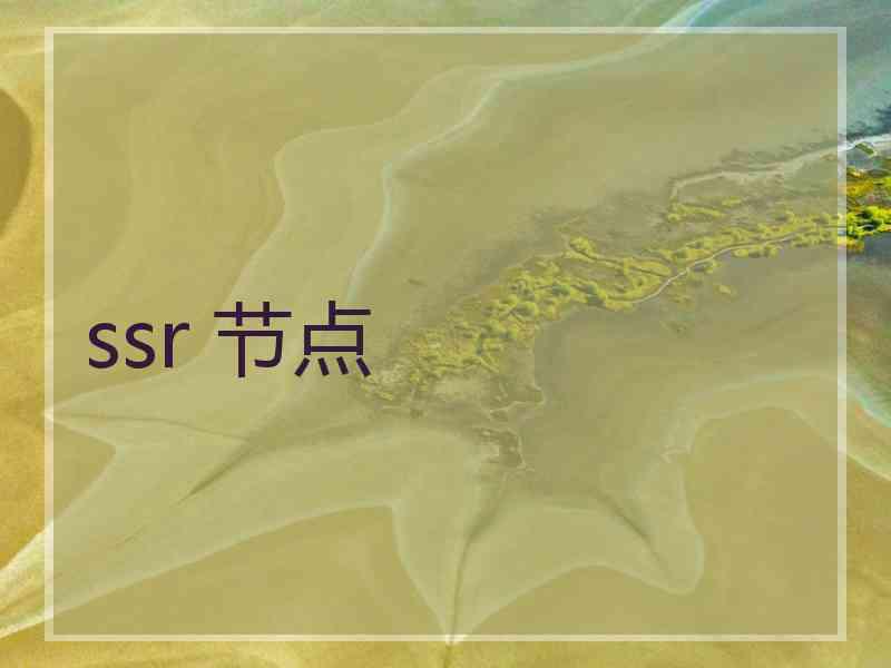 ssr 节点