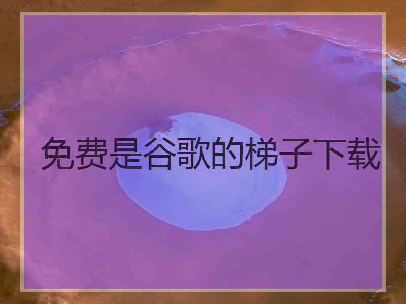 免费是谷歌的梯子下载