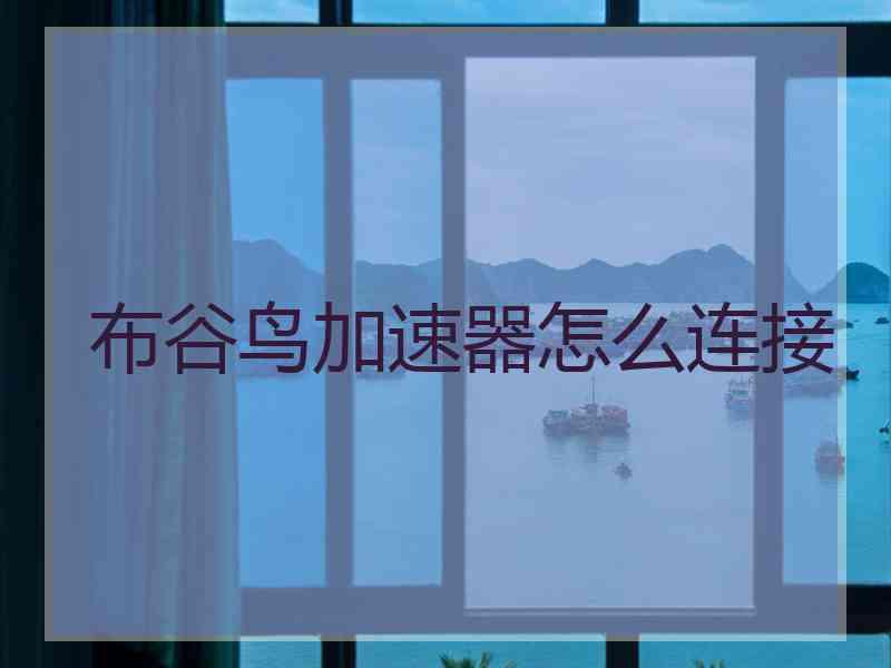 布谷鸟加速器怎么连接