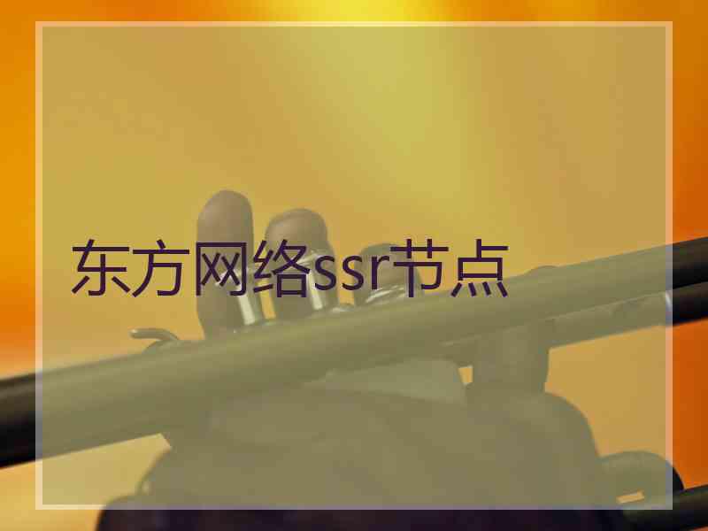 东方网络ssr节点