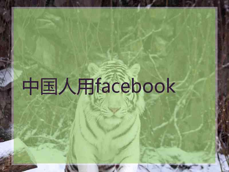 中国人用facebook