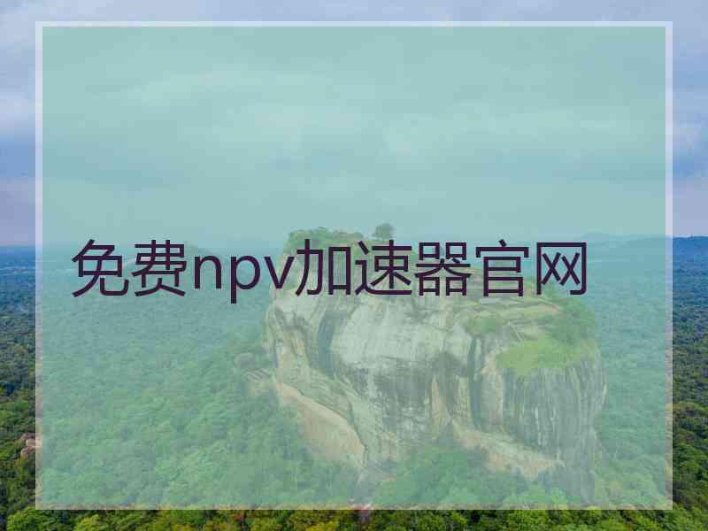 免费npv加速器官网