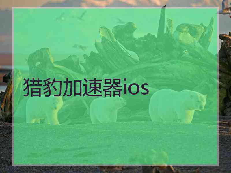 猎豹加速器ios