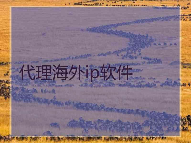 代理海外ip软件