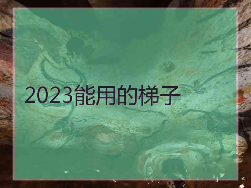 2023能用的梯子