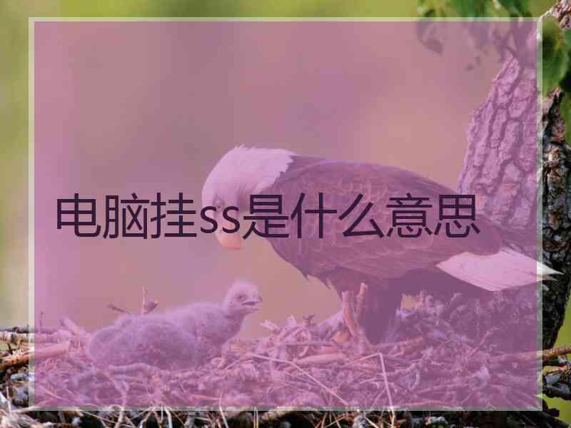 电脑挂ss是什么意思