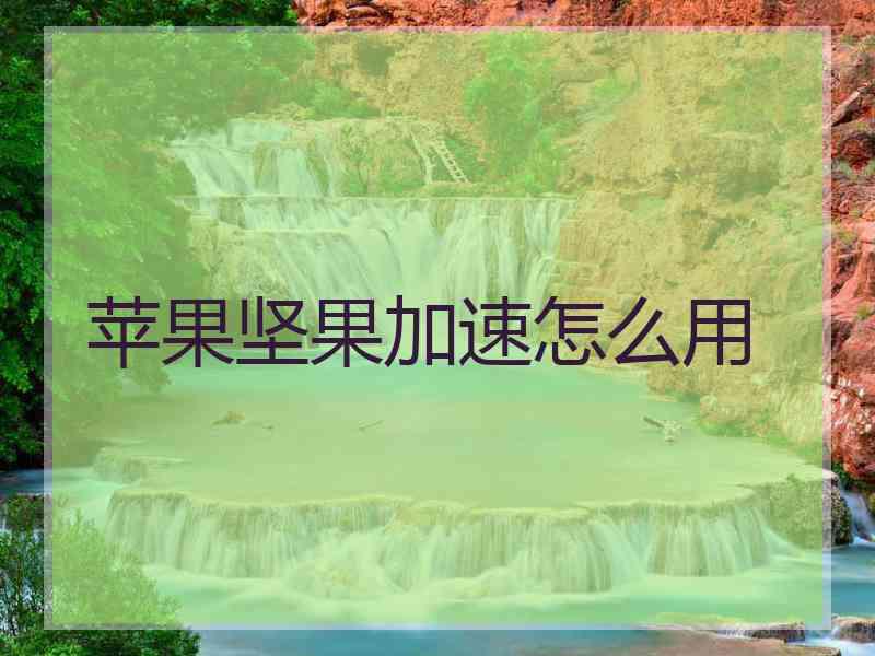 苹果坚果加速怎么用